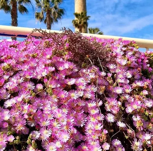 게스트하우스 Cristina 치피오나