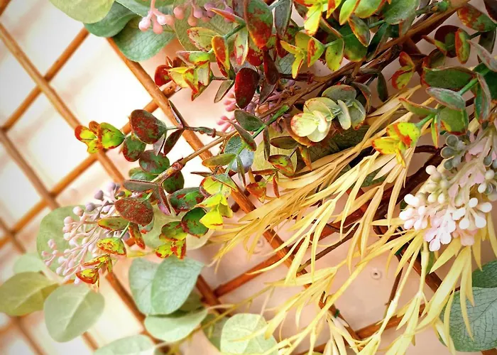 Cristina 치피오나